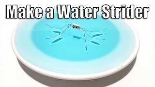 Make a Water Strider - STEM Activity