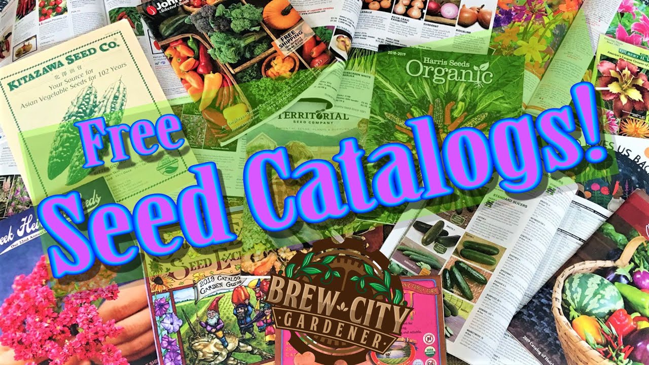 Free Seed Catalogs 2024 By Mail - Image To U