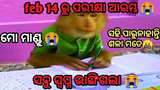 ମୋ ମାଣ୍ଡୁ ସହ ମସ୍ତି କରିଥାନ୍ତି😭#funny #comedy #odiacomedy #viralfunny #funnydubbing #valentine #couple