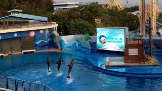 [尋找香港] 海洋公園 | 親親動物 | HK Ocean Park | adattman