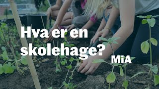 Introduksjon til skolehager