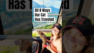 Our Bengal Cat’s Travel Adventures: 8 Ways She Gets Around!