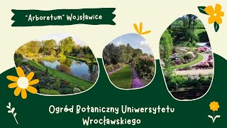 Arboretum Wojsławice w Niemczy 🌸Ogród Botaniczny Uniwersytetu Wrocławskiego 🍀