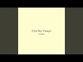 Echo Sky Tranquil