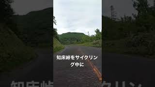 サイクリング中に、熊に遭遇！知床峠。