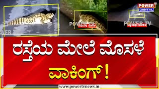 Nanjangud Incident : ರಸ್ತೆಯ ಮೇಲೆ ಮೊಸಳೆ ವಾಕಿಂಗ್! | Crocodile | Power Tv News