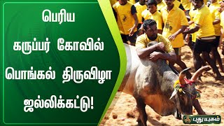 பெரிய கருப்பர் கோவில் பொங்கல் திருவிழா ஜல்லிக்கட்டு! | பொன்னமராவதி | செய்தித் துளிகள் | PuthuyugamTV