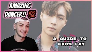 🦄A GUIDE TO EXO's LAY - REACTION! 💗
