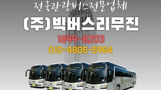 버스대여 45인승,25인승,28인승,16인승 관광버스대절금액 문의 대환영!