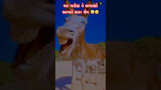 મને અને ગધેડા ને જોડે બગસો આવ્યો gujrati new #shortsfeed #shorts #liveconcert #ytviral