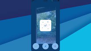 VuSpex CLICK - Offline Field Report