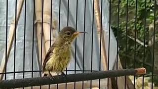 Playtube Pk Ultimate Video Sharing Website