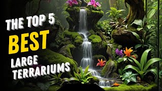 The Top 5 Best Large Terrariums