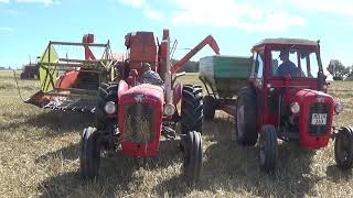 Dronningborg d600 og 2x Massey Ferguson 35