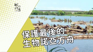 【湧泉生態】保護最後的生物諾亞方舟｜全台湧泉大調查 (我們的島 第662集 2012-07-02)