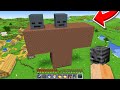 Minecraft but What's this Wither?!