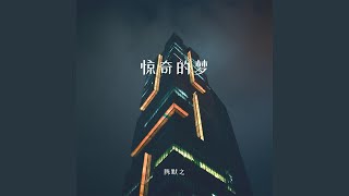 惊奇的梦