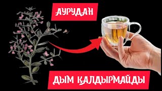 Жантақтың біз білмейтін емдік қасиеті#өт тас ауруы#жантақ