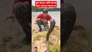 রাসেলস ভাইপার সাপ থেকেও বড় কিং কোবরা । #kingcobrajfs #russellviper #snake