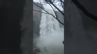 Amargadh waterfall 2022