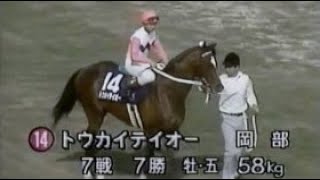 第１０５回　天皇賞（春） （ＧⅠ）　本馬場入場　1992.4.26　　出走馬：トウカイテイオー、メジロマックイーン、イブキマイカグラ、カミノクレッセ、ダイユウサク、タニノボレロ、ヤマニングローバル他