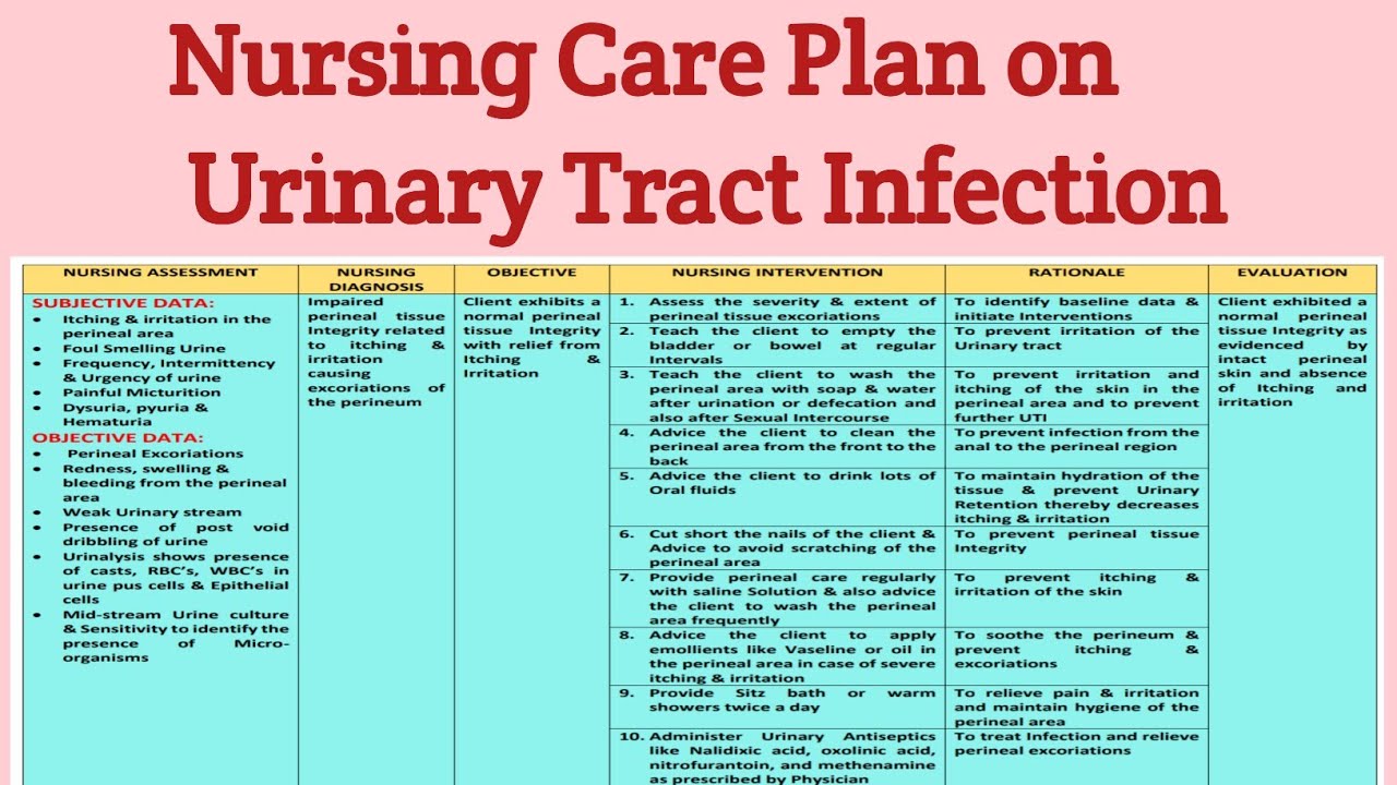 NCP 23 Nursing Care Plan On Urinary Tract Infection/ UTI/ Genitourinary ...