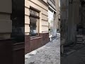 lviv Львів