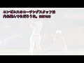 【海外の反応】藤浪晋太郎とそのファンが見れて満足なオリオールズファン