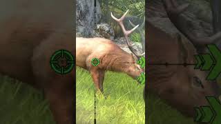 Hunting a Wapiti #wapiti #hunting #deerhunting #huntingclash #fyp #viral #gamer