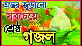 অন্তর জুড়ানো সবচেয়ে শ্রেষ্ঠ গজল | Bangla New Gojol 2021 | কলরবের নতুন গজল|notun gojol 2021