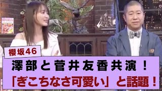 【櫻坂46】澤部さんと菅井友香が共演！「ぎこちなさが可愛い」と話題のエピソードwww