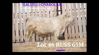 Lot 46 RUSS 65M