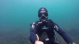 Дайвинг в Анапе/Diving in Anapa City