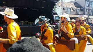 4K footage of Newtown Fair Wellington 2016