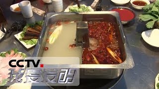 《我爱发明》 美食记 4：升降式火锅 全自动包子机 便携式无烟烧烤炉 20181222 | CCTV科教