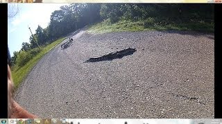 Alligator Encounter Causes Man Taking Selfie To Crash Bicycle