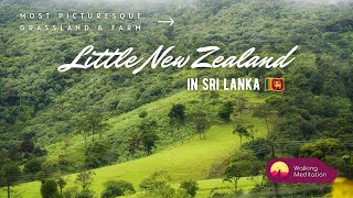 Most Picturesque Grassland Farm in Sri Lanka | Little New Zealand | Largest Dairy Farm Tour