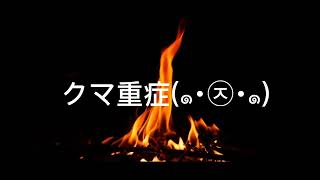 2023年11月28日❁⃘*.ﾟ過去見た夢と現実不思議な繋がりを感じた話