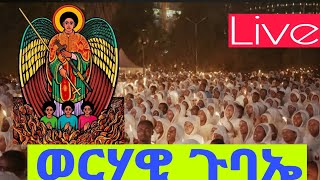 🔵 Live ጥር 19 የራማው ልዑል ቅዱስ ገብርኤል || ቀጥታ ወርሃዊ ጉባኤ ከዳግማዊ ቁልቢ ቅዱስ ገብርኤል ቤተክርስቲያን ‼️