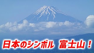 海から見る富士山！大瀬崎の神池を紹介