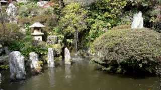 長保寺　鯉の池