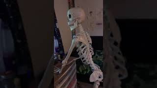 skeleton