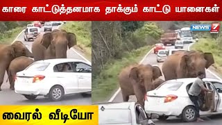 காரை காட்டுத்தனமாக தாக்கும் காட்டு யானைகள் - வைரல் வீடியோ | Erode | Elephant Viral video