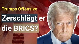 BRICS vs. USA: Kann Trump die Kontrolle erlangen? Rohstoff News