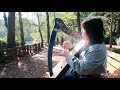 harp cover 凯尔特竖琴