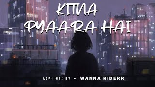 Kitna Pyaara Hai - (Lofi Mix)
