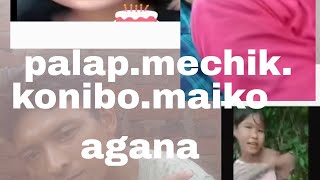 palap.mechik.viral.video