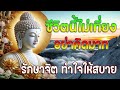 อย่าเพลินกับการใช้ชีวิตทางโลก ทุกสิ่งบนโลกไม่เที่ยง ฟังคำสอนของพระพุทธเจ้า พุทธวจน