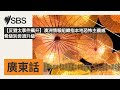 【反猶太事件飆升】澳洲情報組織指本地恐怖主義威脅級別毋須升級 sbs cantonese sbs廣東話節目