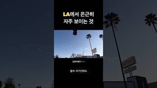 LA에서 은근히 자주 보이는 것 #losangeles #미국 #미국여행 #la #여행 #브이로그 #여행일기